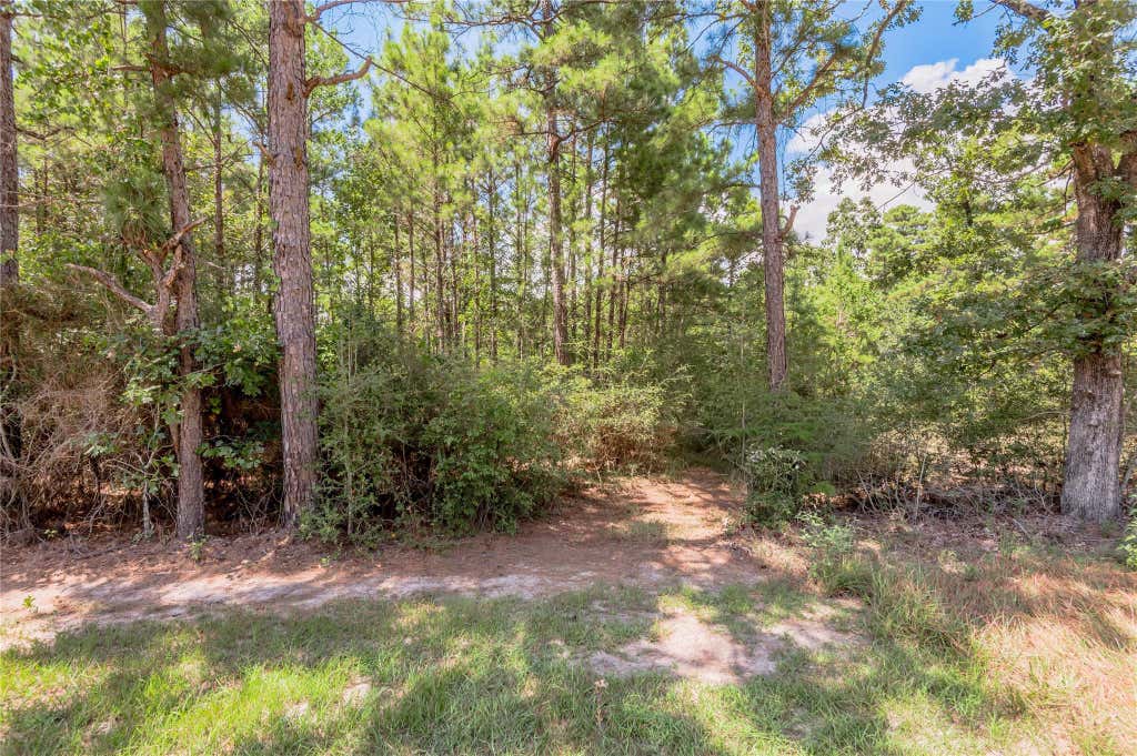 Photo of Na Fm 355, Trinity, TX 75862 (MLS # 40695697)
