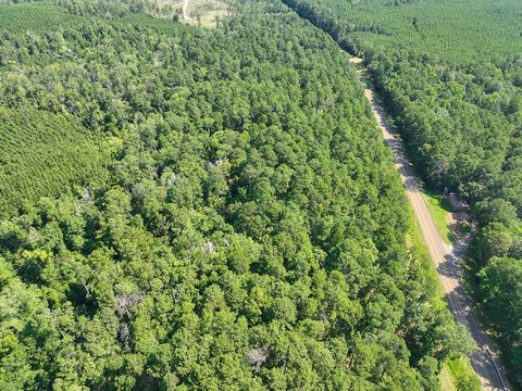 Vacant Land For Sale - 3 Highway 87<br/> Sabine County, Milam, TX 75959