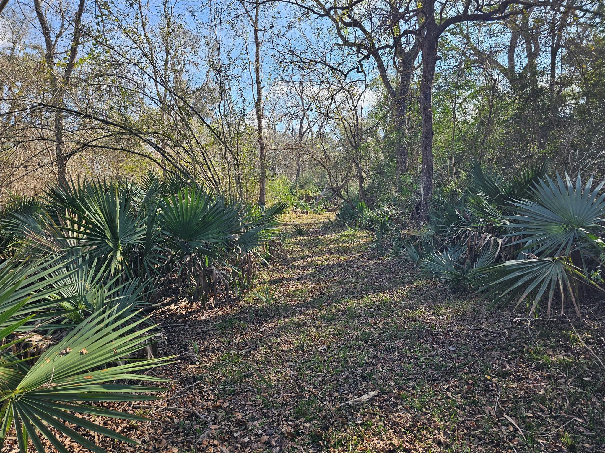 000 County Road 488b