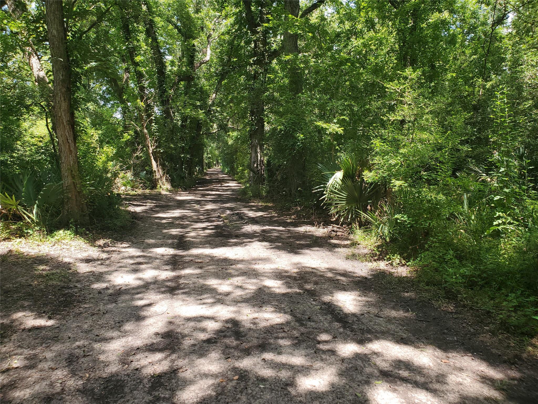 000 County Road 488b