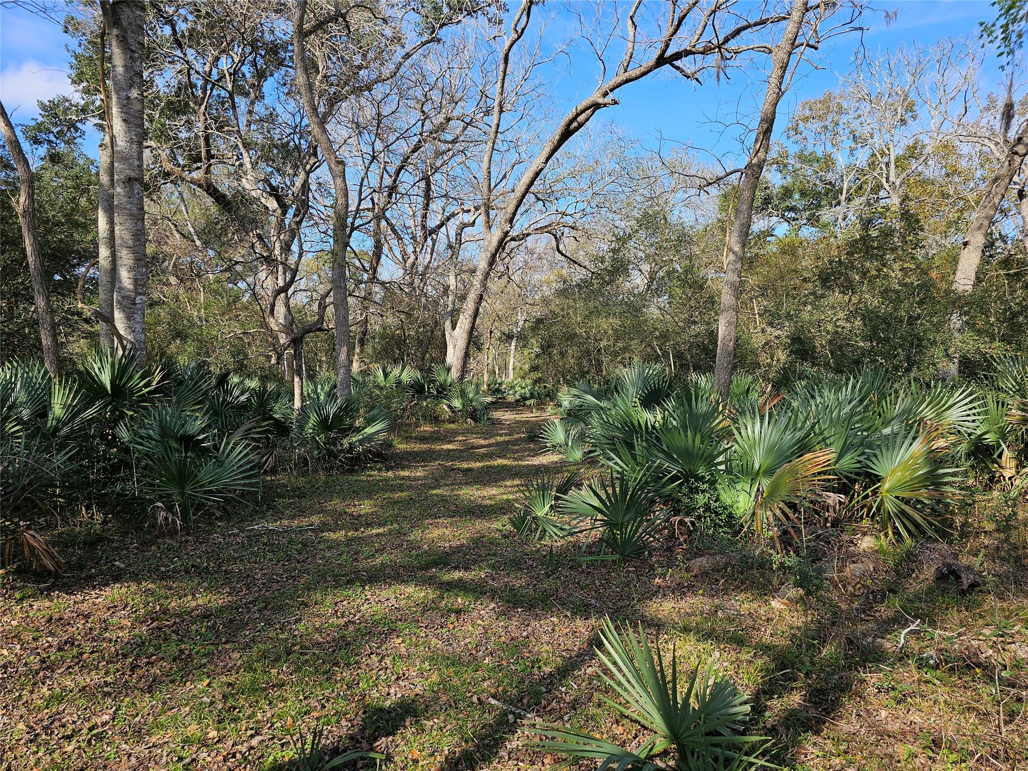 000 County Road 488b