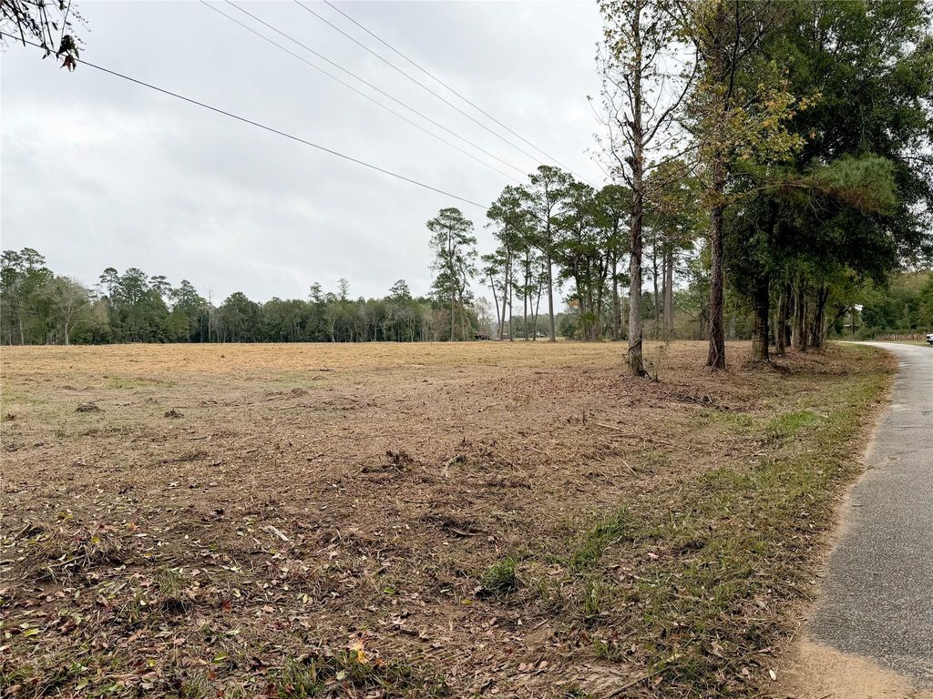 Photo of 784 County Road 784, Buna, TX 77612 (MLS # 83088634)