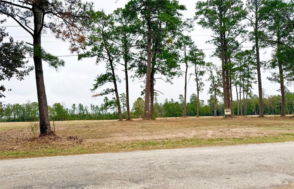 Photo of 784 County Road 784, Buna, TX 77612 (MLS # 83088634)
