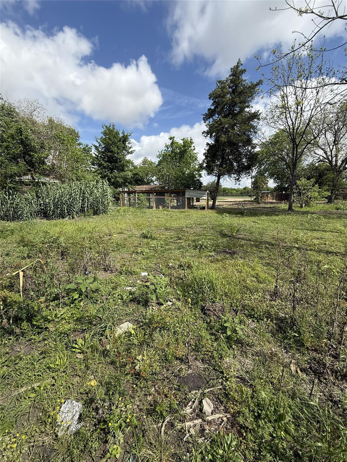 1616 Red Bluff Court