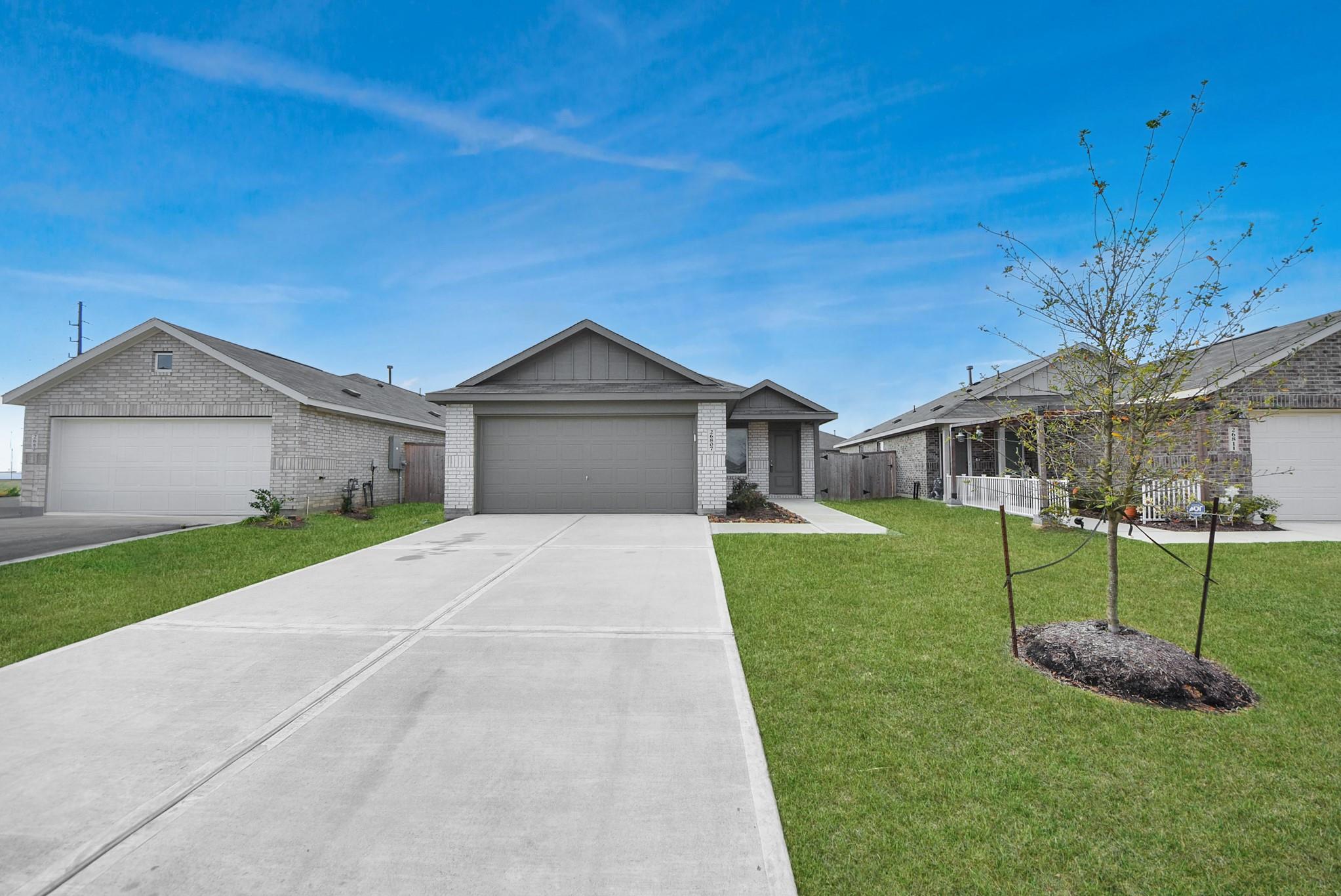 26807 Dalmatian Bellflower Drive