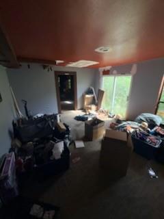 689 County Road 4019