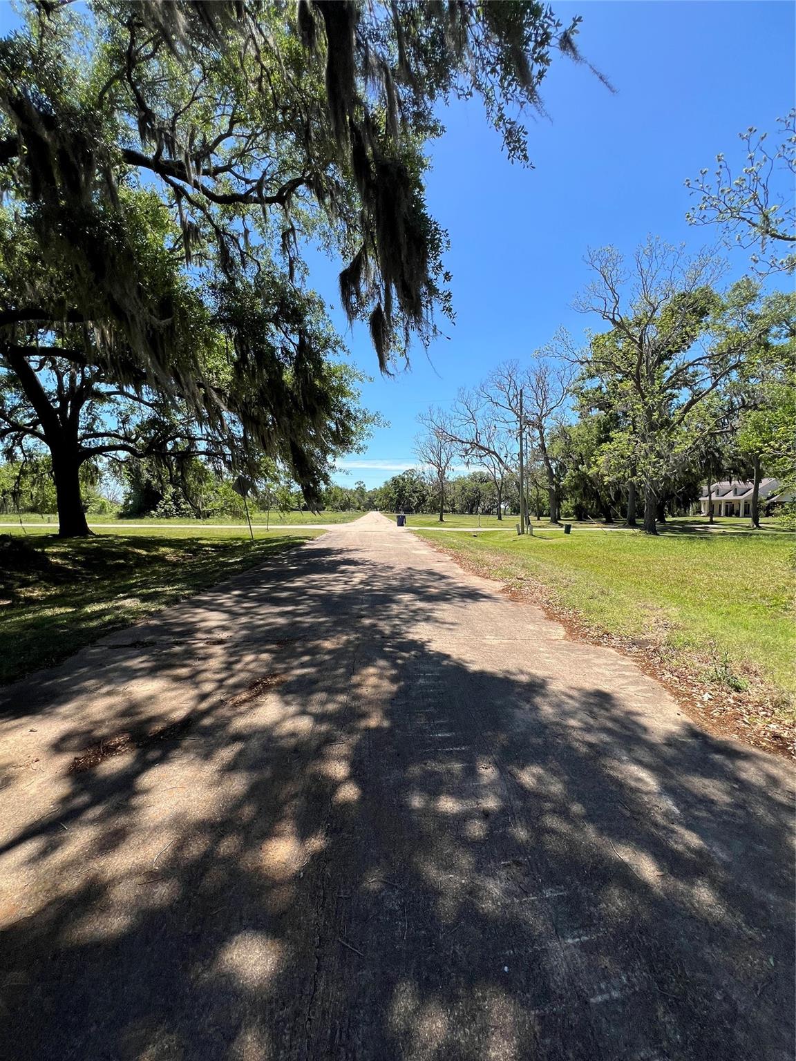 131 Hidden Horse Trail