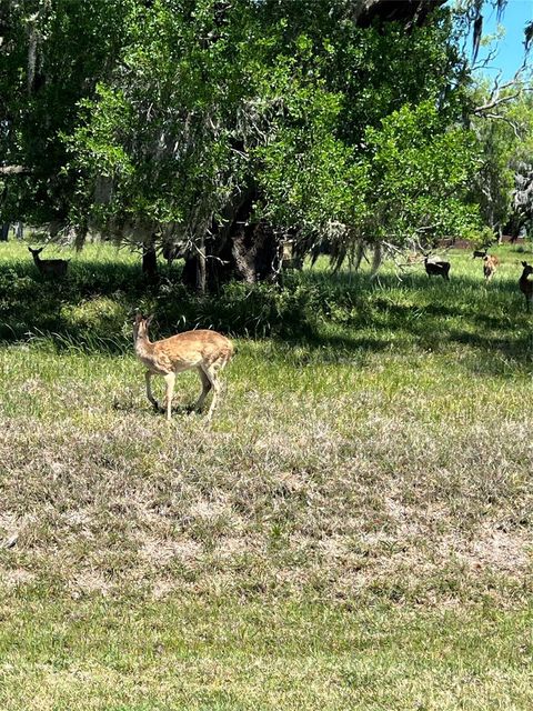131 Hidden Horse Trail Angleton TX 77515