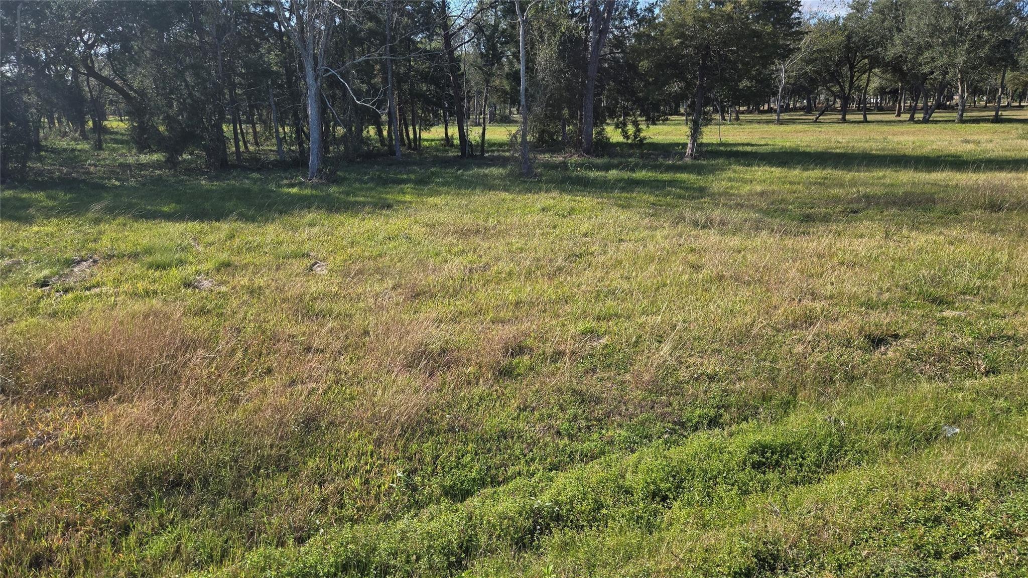 3828 County Road 326 Lot 16
