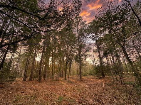 Vacant Land For Sale - LOT 175 County Road 3017c<br/> Dayton, TX 77535