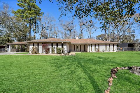 Photo of 16375 Holly Street, Porter, TX 77365 (MLS # 7215355)