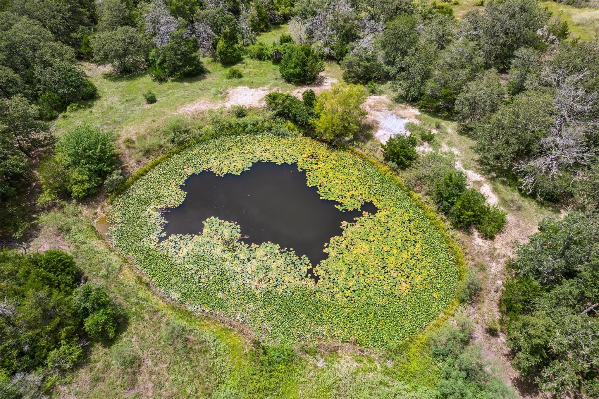 1434 County Road 139