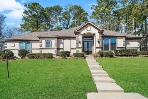 Photo of 228 Blue Hill Drive, Montgomery, TX 77356 (MLS # 86166779)