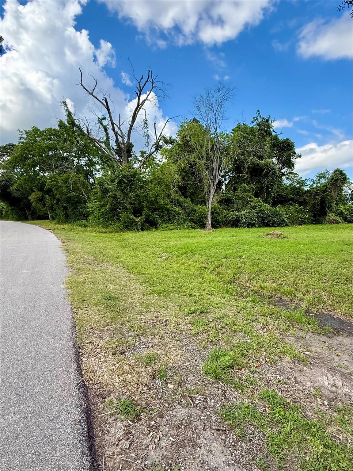 13650 Salt Grass Trail Lot 106