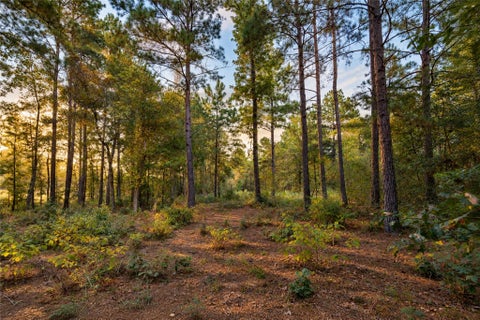 Photo of 7078 Texas Trace Trce, Montgomery, TX 77316 (MLS # 13515048)