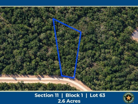 Photo of 15437 Woodlife Road, Willis, TX 77378 (MLS # 74667379)