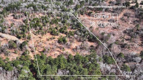 Vacant Land For Sale - TBD #14 County Road 475a<br/> Rusk County, Henderson, TX 75654