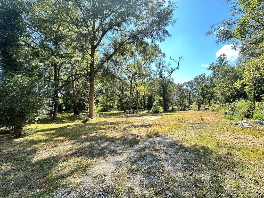 Photo of 22120 Caney Drive, New Caney, TX 77357 (MLS # 10862221)