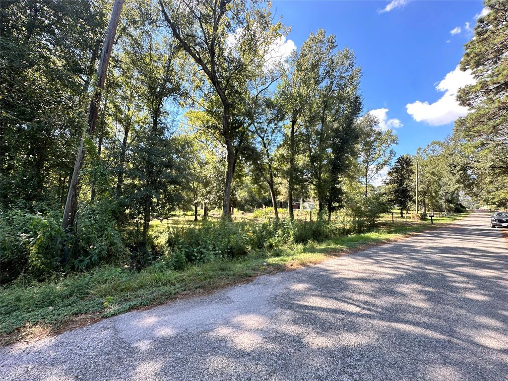 Photo of 22120 Caney Drive, New Caney, TX 77357 (MLS # 10862221)