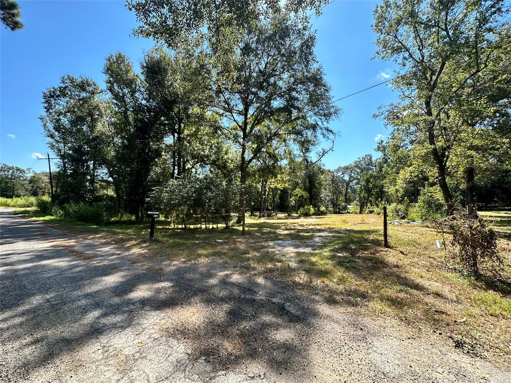 Photo of 22120 Caney Drive, New Caney, TX 77357 (MLS # 10862221)