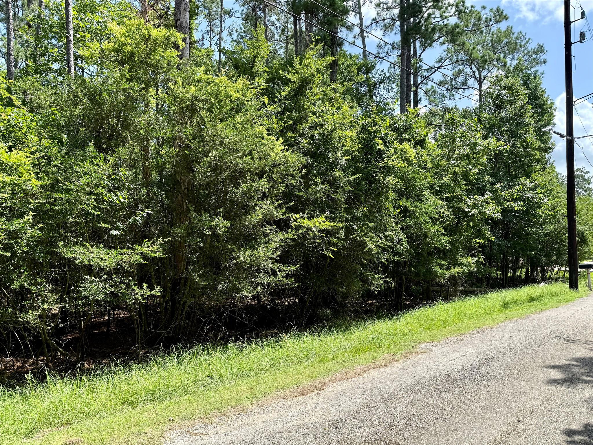 Looking to the right, the land goes past the electric pole