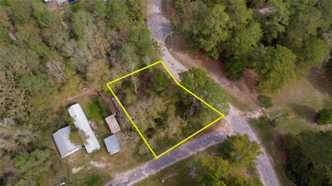 Photo of TBD Trinity Cove Drive, Trinity, TX 75862 (MLS # 60666266)