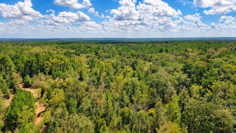 Photo of 108241000 County Road 2913, Alto, TX 75925 (MLS # 21241343)
