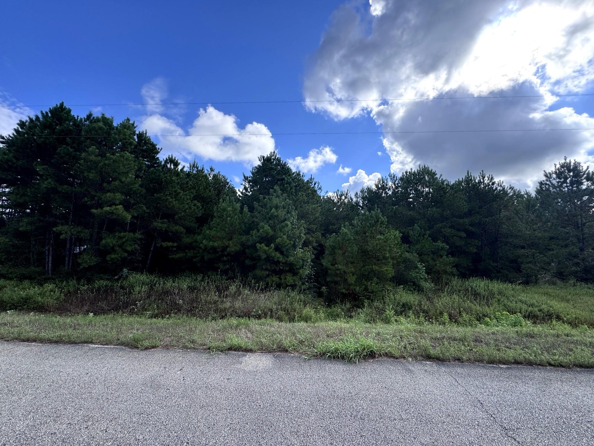 4546 N Duck Creek Road