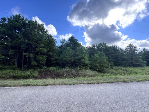 Vacant Land For Sale - 4546 N Duck Creek Road<br/> Cleveland, TX 77328