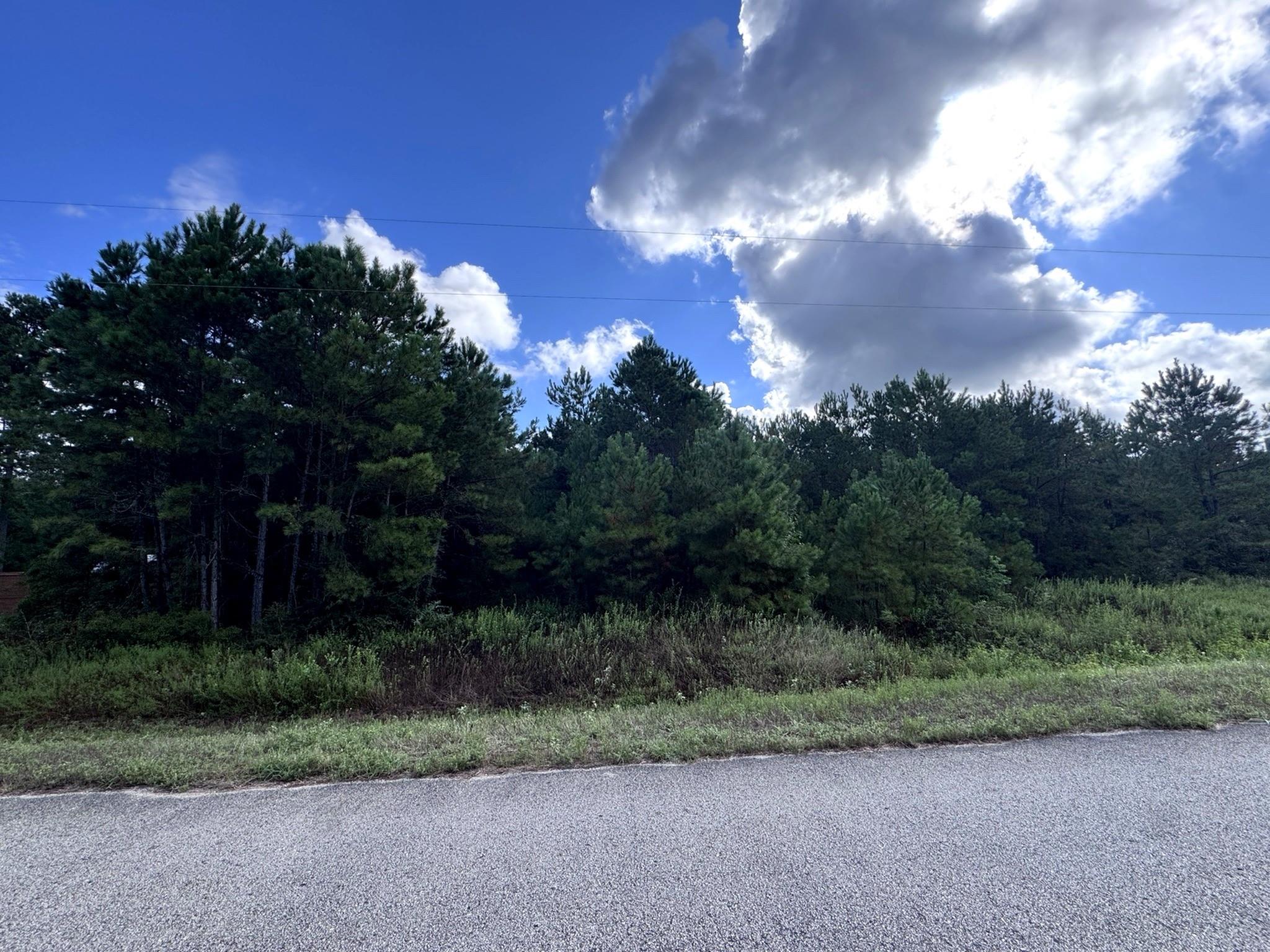4546 N Duck Creek Road