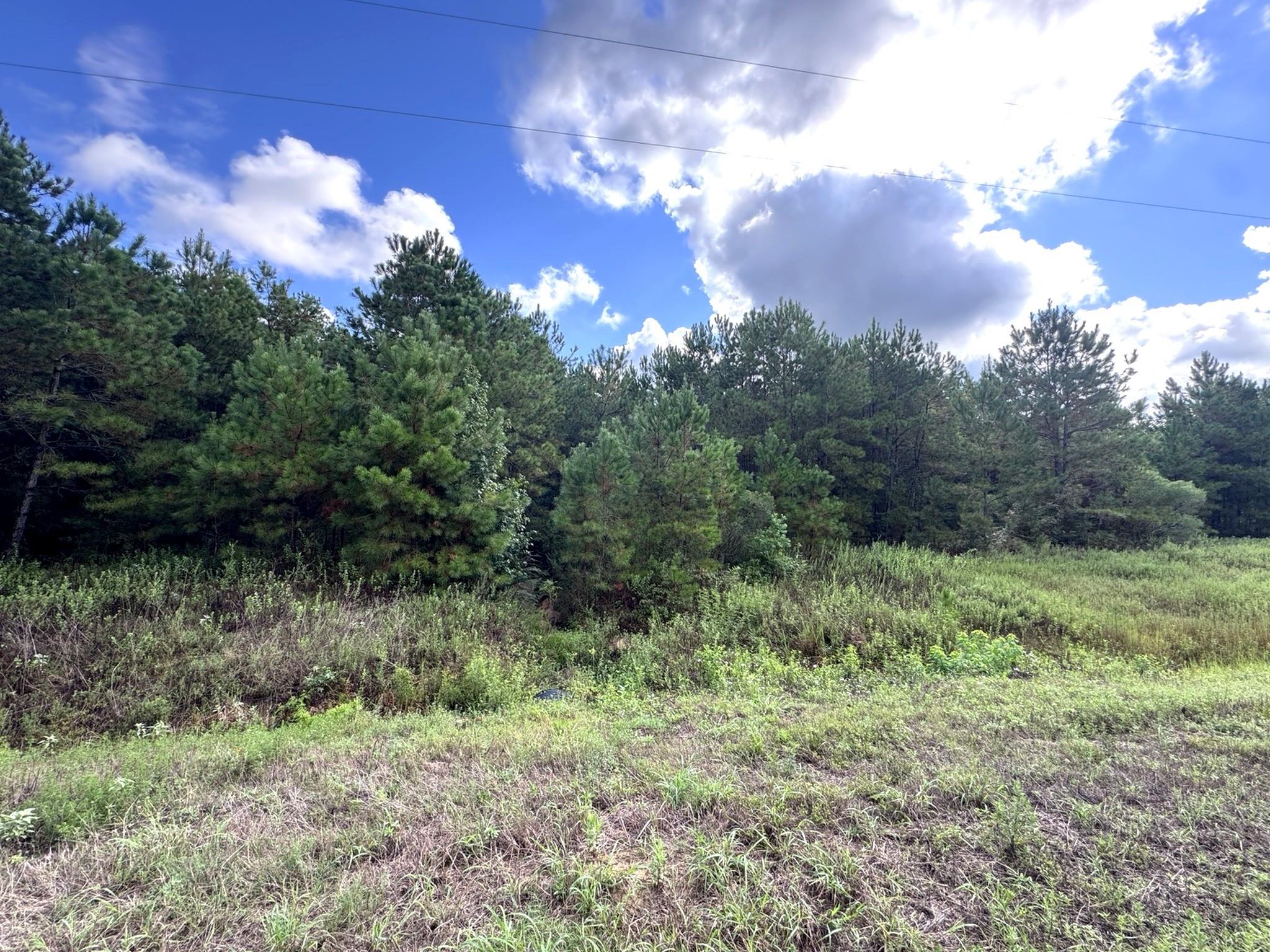 4546 N Duck Creek Road