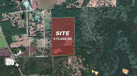 Photo of 10771 County Road 351, Plantersville, TX 77363 (MLS # 20454172)