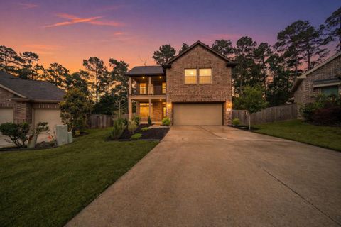 Photo of 206 Elianne Lace Court, Conroe, TX 77318 (MLS # 58878916)