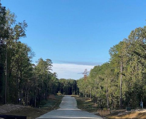 Photo of 236 Hollow Hill Road, New Waverly, TX 77358 (MLS # 11273308)