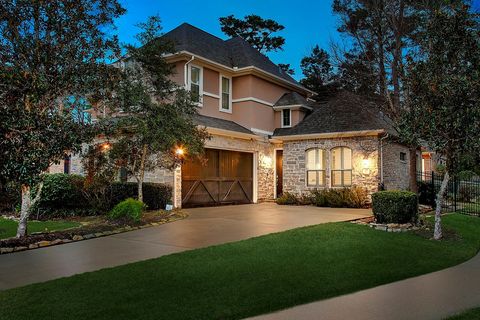 22 Mill Point Place The Woodlands TX 77380