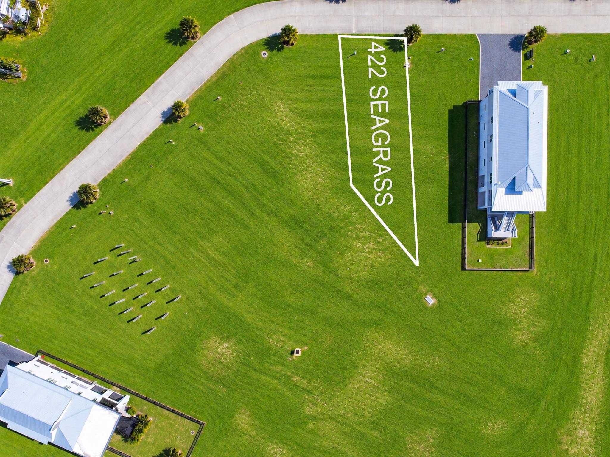 422 Seagrass