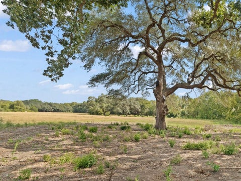 Photo of 2763 Fm 956, Schulenburg, TX 78956 (MLS # 20270479)