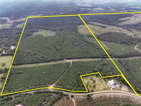 Vacant Land For Sale - 1 Fm 1987<br/> Corrigan, TX 75939