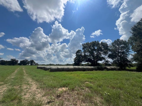 Vacant Land For Sale - Fm 1371<br/> Chappell Hill, TX 77426