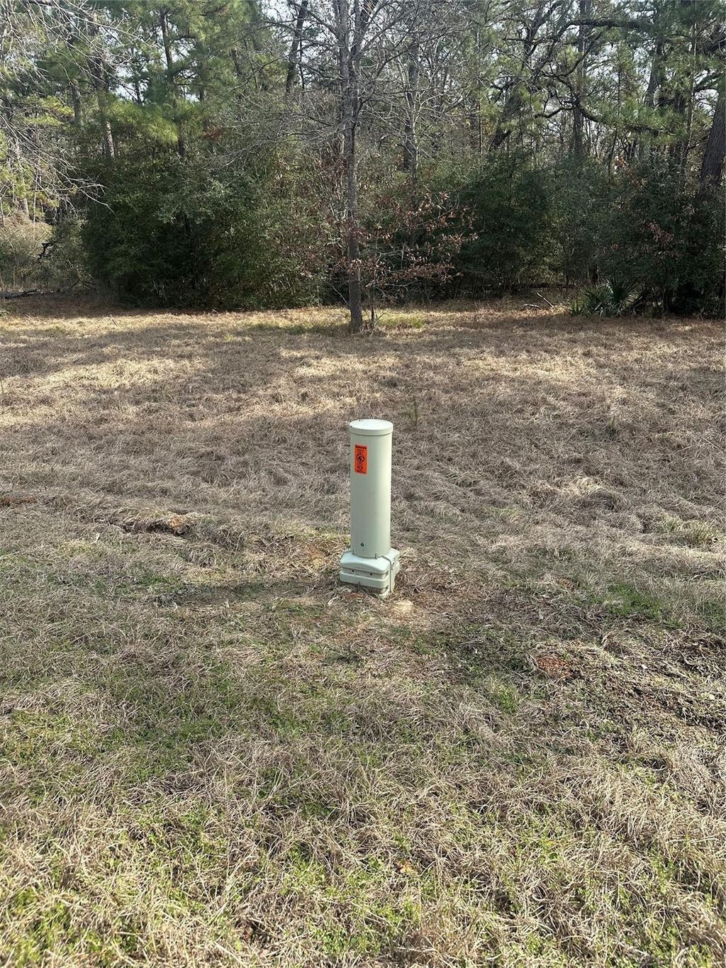 Photo of 25 Colomb Street, Trinity, TX 75862 (MLS # 49273188)