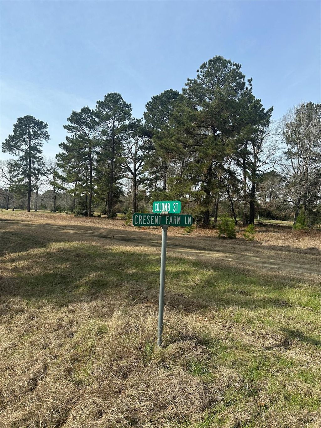 Photo of 25 Colomb Street, Trinity, TX 75862 (MLS # 49273188)