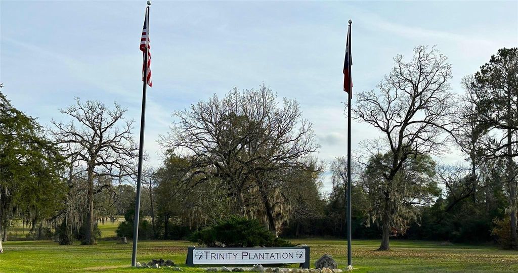 Photo of 25 Colomb Street, Trinity, TX 75862 (MLS # 49273188)
