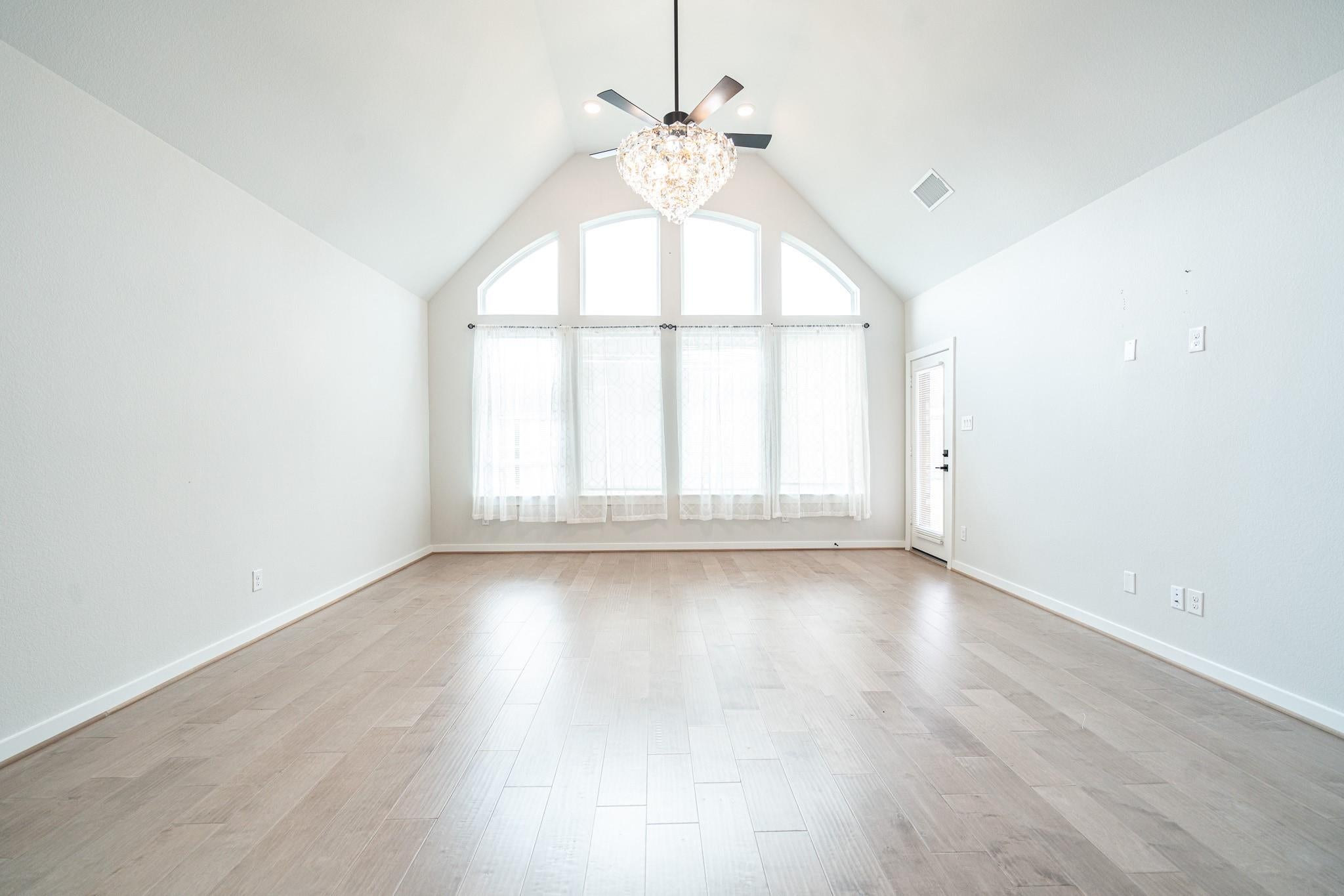 24819 Yellow Spruce
