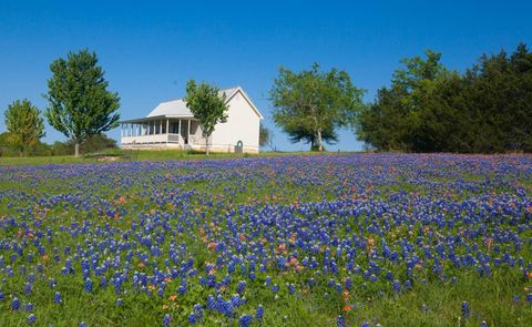 Photo of 3831 Meadow View Lane, Fayetteville, TX 78940 (MLS # 91385108)