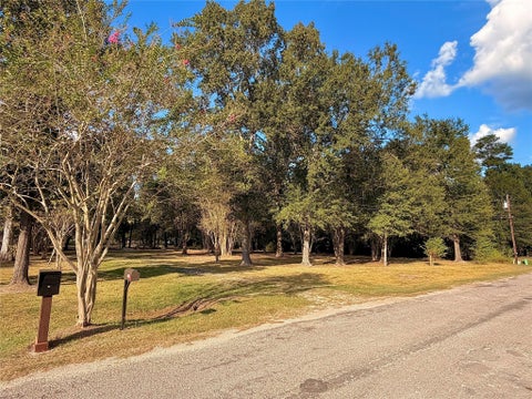 Vacant Land For Sale - 1265 County Road 6479<br/> Dayton, TX 77535