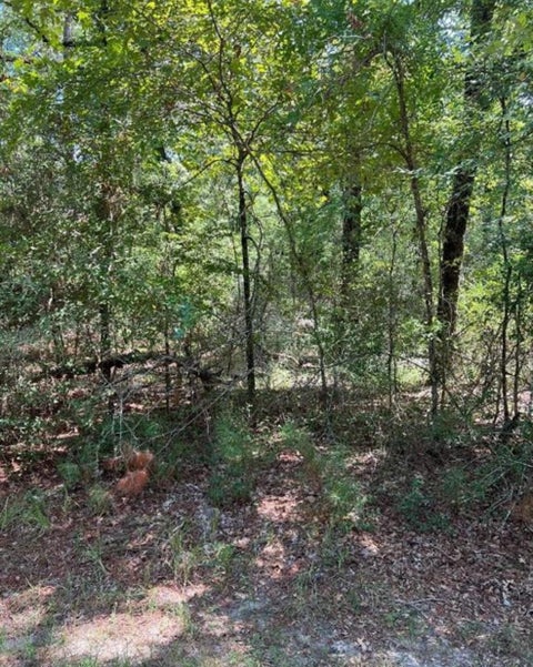Photo of 37 Landing Way, Trinity, TX 75862 (MLS # 64495513)