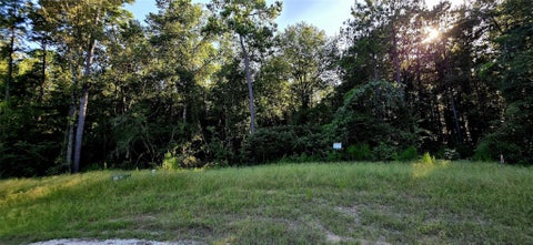 Vacant Land For Sale - 107 Romantic Dreams Ct Court<br/> Walker County, Huntsville, TX 77340