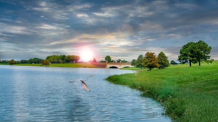 10730 Wild Blue Lupine Way