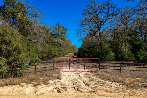 Vacant Land For Sale - 10162 County Road 321<br/> Burleson County, Caldwell, TX 77836
