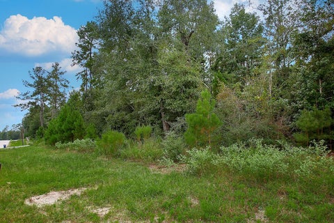 Vacant Land For Sale - TBD Sky Oak Lane<br/> Walker County, Huntsville, TX 77340